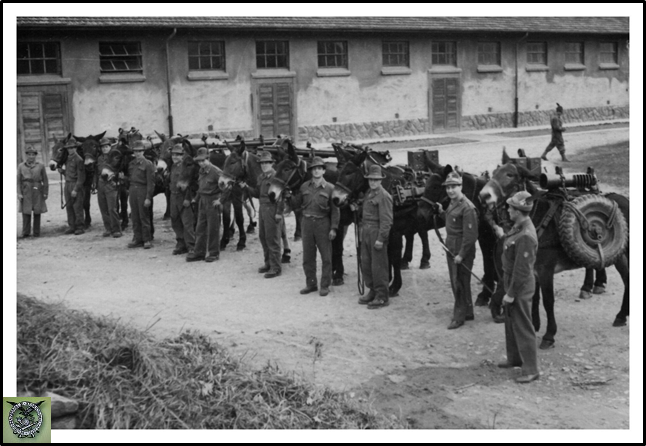 Prove comparative 1955_Carico 1- 10 copia.png