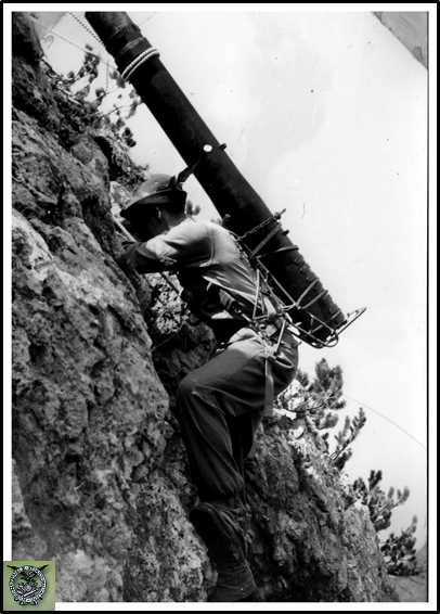 Alpini 2.png