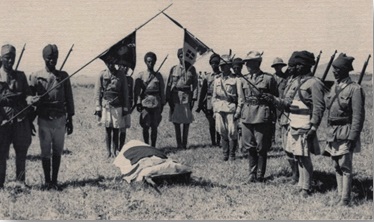 COLONIALI 15