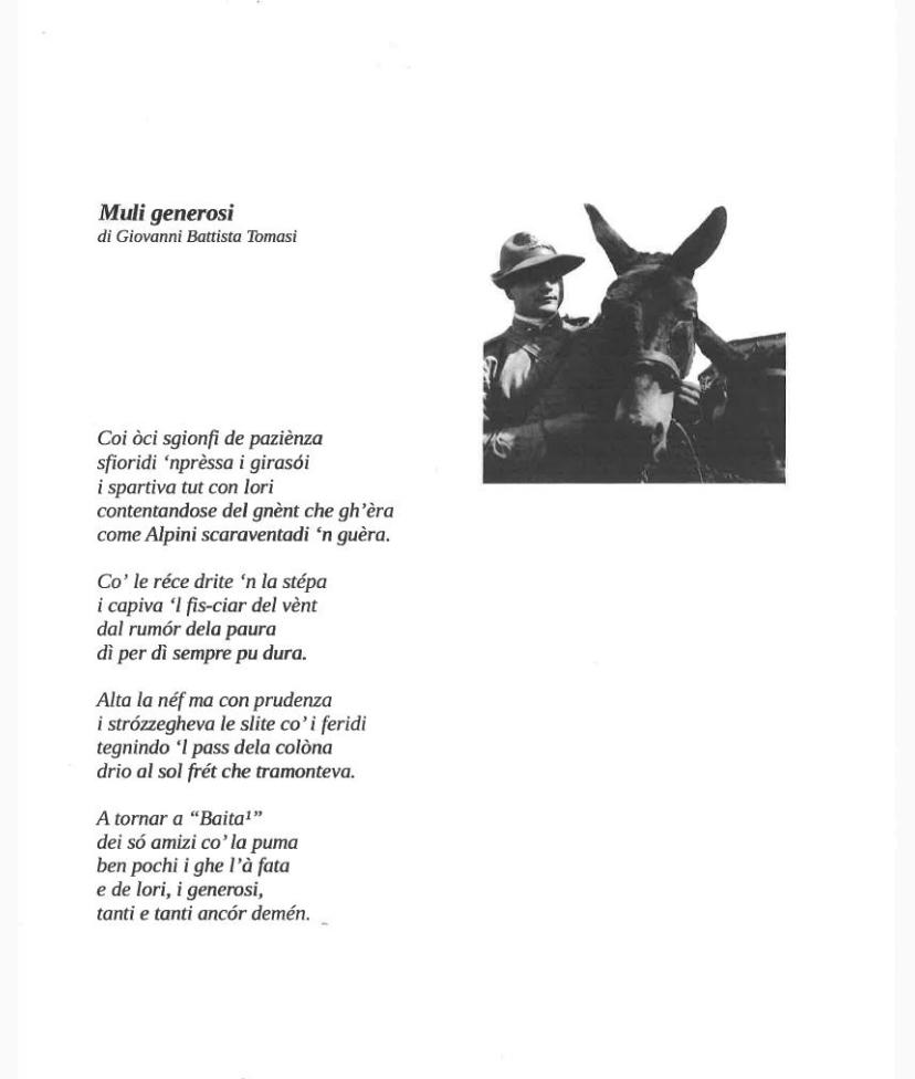 poesia.jpg