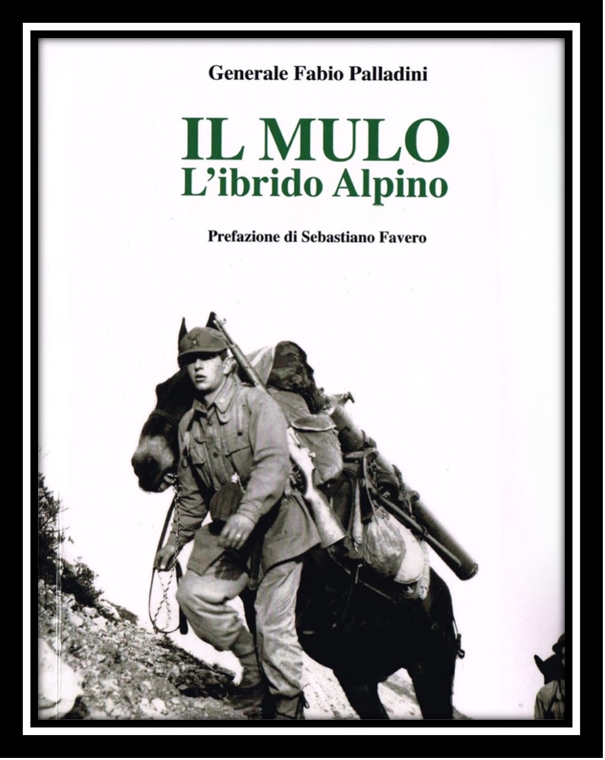 Libro Palladini